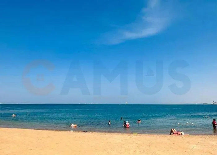 Camus 103 Princess